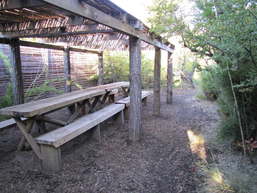 Refugio Ecobox Andino Villa Las Trancas Luaran gambar